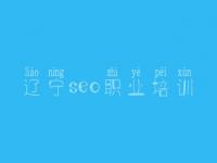 辽宁seo职业培训 网络优化工具