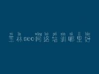 玉林seo网络培训哪里好，优化培训教程