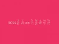 2022普洱seo究竟哪学好_大概价格得多少