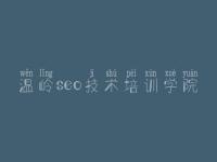 温岭seo技术培训学院，网站建设的方式