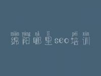 绵阳哪里seo培训_网站优化最什么