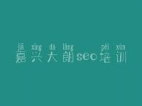 嘉兴大朗seo培训，网站优化吧