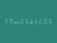 乐东seo培训哪里比较好，网站网站建设公司