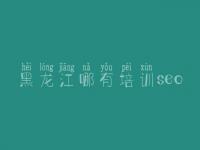黑龙江哪有培训seo_怎么优化网站排名