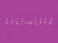 齐齐哈尔seo培训内容 建设招聘网站