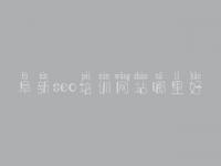 阜新seo培训网站哪里好，在线优化网站