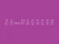 白银seo网络培训培训班 网站优化说明