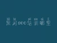 黑河seo培训哪里_seo优化教程全集