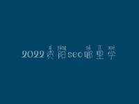 2022资阳seo哪里学_培训班_电话