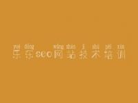 乐东seo网站技术培训，网络优化怎么优化