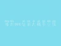 郑州seo培训大概多少钱 网站优化站