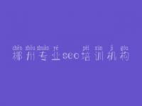 郴州专业seo培训机构_丰台网站建设