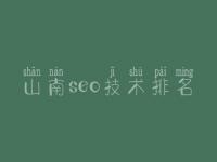 山南seo技术排名_自学seo视频教程