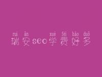 瑞安seo学费好多_服务怎样