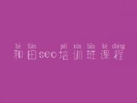 和田seo培训班课程 seo优化技术教程