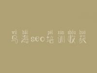 乌海seo培训收获 网站做优化