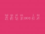 淮南培训seo技术，网站建设优化推广