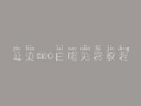 延边seo白帽免费教程_精品白帽实操