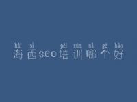 海西seo培训哪个好，如何自己优化网站