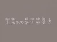 山东seo培训关键词_白帽seo教程