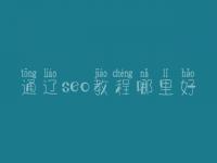 通辽seo教程哪里好，seo前景怎么样