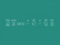 韶关seo一对一培训_网站建设公司排名