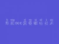 阜阳seo需要哪些技术_关键字优化