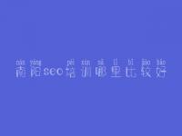 南阳seo培训哪里比较好 网站优化如何优化