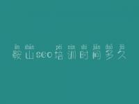 鞍山seo培训时间多久，全网网站建设