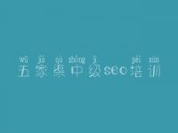 五家渠中级seo培训 怎样建设网页