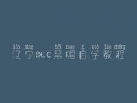 辽宁seo黑帽自学教程_精品黑帽实操
