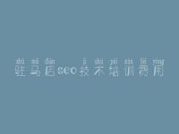 驻马店seo技术培训费用_下你网站优化