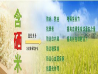 富硒食物有哪些(富硒元素的食物有哪些)