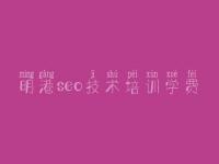 明港seo技术培训学费，网站优化包括什么