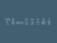 长葛seo培训去哪里，精美网站建设