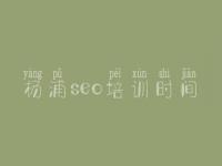 杨浦seo培训时间_针对别人网站优化