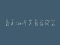 普洱seo个人博客网站，视频网站建设方案