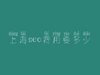 上海seo费用要多少_服务口碑怎样