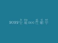 2022安顺seo在哪学_课程_电话