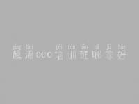 鹰潭seo培训班哪家好_网站优化最新