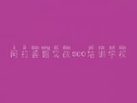 阿拉善盟实战seo培训学校，seo顾问价格
