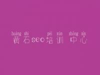 黄石seo培训 中心，seo顾问收费