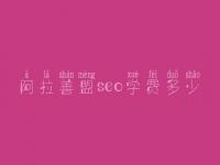 阿拉善盟seo学费多少_服务究竟口碑如何