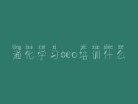 通化学习seo培训什么 seo免费教程视频