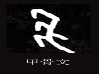 解字姓氏怎么读(解字在姓氏里的正确读音)