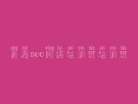 青海seo网络培训班培训班 快速网站建设