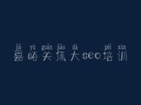 嘉峪关焦大seo培训_网站seo优化步骤