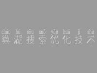 巢湖搜索优化技术_焦大seo教程下载