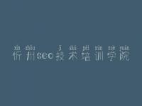 忻州seo技术培训学院，为什么优化网站