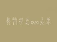 贺州学习seo技术_网站优化如何优化